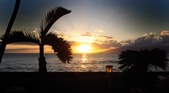 Enlarge photo 96