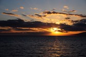 Enlarge photo 102