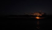 Enlarge photo 99