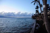 Enlarge photo 104