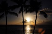 Enlarge photo 103