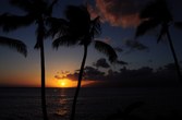 Enlarge photo 107