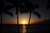Enlarge photo 113