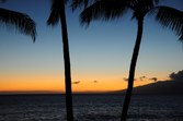 Enlarge photo 117