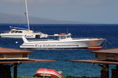 Enlarge photo 122