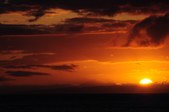 Enlarge photo 124