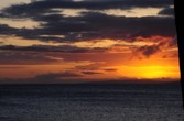 Enlarge photo 125