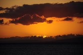 Enlarge photo 131