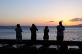 Enlarge photo 135
