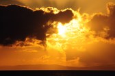 Enlarge photo 141