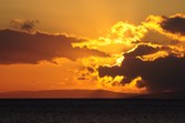Enlarge photo 138
