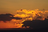 Enlarge photo 145