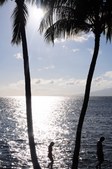 Enlarge photo 144