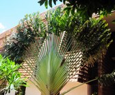 Enlarge photo 149