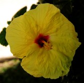 Enlarge photo 146