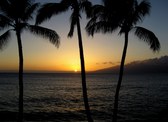 Enlarge photo 156