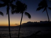Enlarge photo 154
