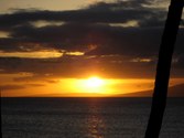 Enlarge photo 155