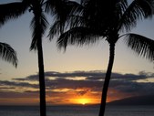 Enlarge photo 158