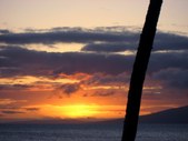 Enlarge photo 157
