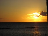 Enlarge photo 176