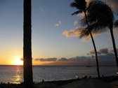 Enlarge photo 175