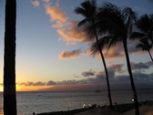 Enlarge photo 178