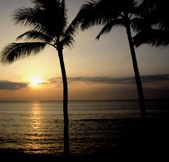 Maui 2009