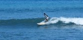 Enlarge photo 180