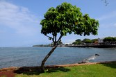 Enlarge photo 46