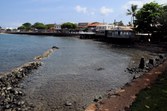 Enlarge photo 47
