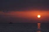 Enlarge photo 59