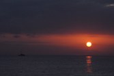 Enlarge photo 60