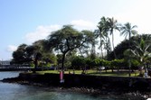 Enlarge photo 62