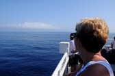 Enlarge photo 63
