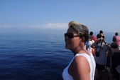 Enlarge photo 64