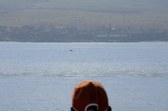Enlarge photo 65