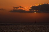 Enlarge photo 57