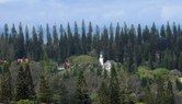 Enlarge photo 81