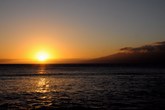 Enlarge photo 96