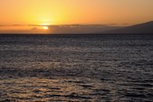 Enlarge photo 99