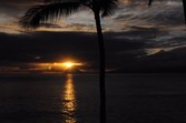 Enlarge photo 105