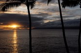 Enlarge photo 106
