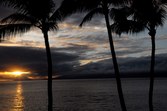 Enlarge photo 107