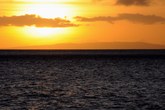 Enlarge photo 113