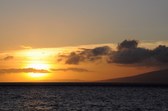 Enlarge photo 114