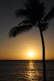 Enlarge photo 131