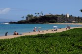 Enlarge photo 135