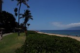 Enlarge photo 137