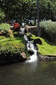 Enlarge photo 142